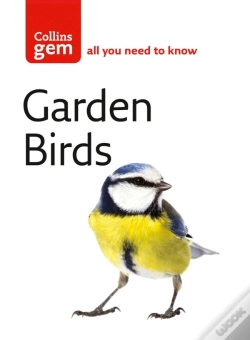 Capa do artigo Garden Birds