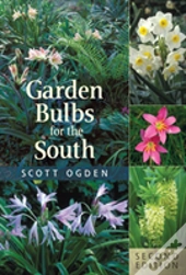 Garden Bulbs For The South