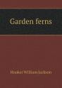 Garden Ferns - Preview