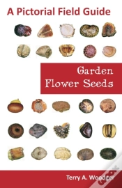 Capa do artigo Garden Flower Seeds