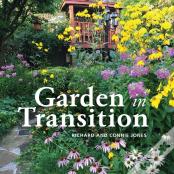 Garden In Transition