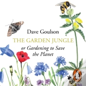 Capa do artigo Garden Jungle