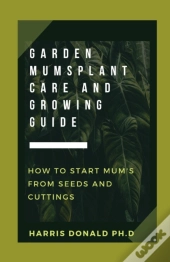 Garden Mums Plant Care & Growing Guide