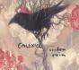 Garden Ruin - CD - Preview