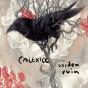 Garden Ruin - Vinil - Preview