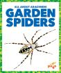 Garden Spiders - Preview
