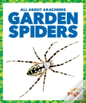 Garden Spiders