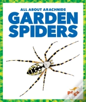 Capa do artigo Garden Spiders