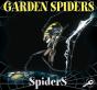 Garden Spiders - Preview