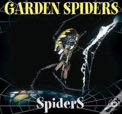Capa do artigo Garden Spiders