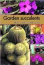 Garden Succulents - Preview