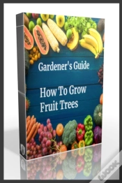 Capa do artigo Gardener
