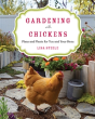 Gardening With Chickens - Preview