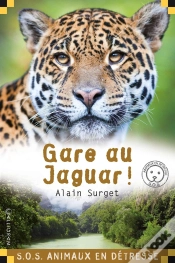 Capa do artigo Gare Au Jaguar !