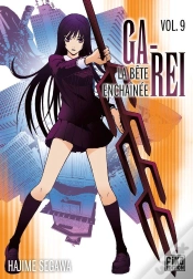Capa do artigo Garei 09