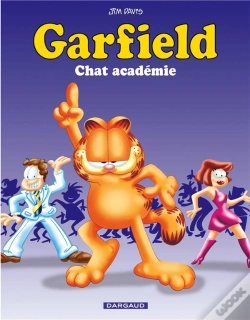 Capa do artigo Garfield T38 Chat Academie