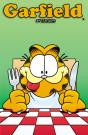 Garfield Vol. 8 - Preview