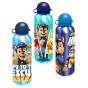 Paw Patrol Aluminum Bottle 500ml Assorted PW19993 - Preview