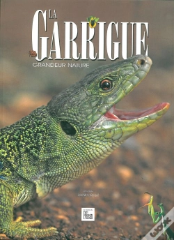 Capa do artigo Garrigue Grandeur Nature