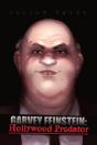 Garvey Feinstein - Preview