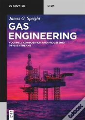 Capa do artigo Gas Engineering