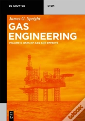 Capa do artigo Gas Engineering