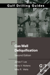 Capa do artigo Gas Well Deliquification
