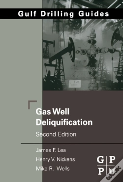 Capa do artigo Gas Well Deliquification