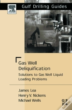 Capa do artigo Gas Well Deliquification