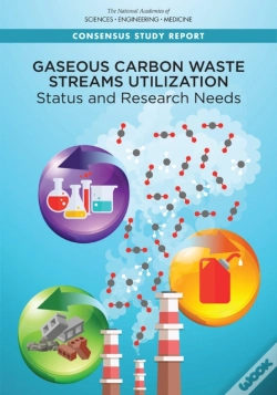 Capa do artigo Gaseous Carbon Waste Streams Utilization
