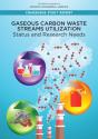 Gaseous Carbon Waste Streams Utilization - Preview
