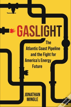 Capa do artigo Gaslight