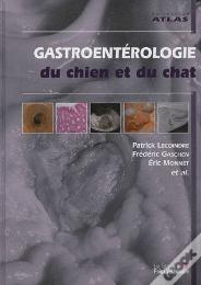 Gastroentérologie Du Chien Et Du Chat