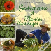 Capa do artigo Gastronomie Et Plantes Sauvages