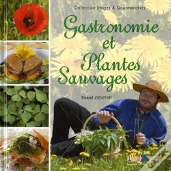 Capa do artigo Gastronomie Et Plantes Sauvages