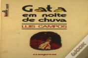 Gata em Noite de Chuva