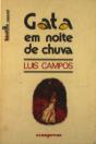 Gata em Noite de Chuva - Preview