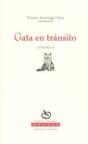 Gata En Transito - Preview