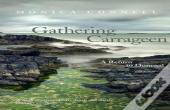 Gathering Carrageen