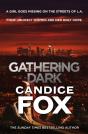 Gathering Dark - Preview
