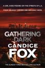 Gathering Dark - Preview