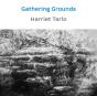 Gathering Grounds - Preview