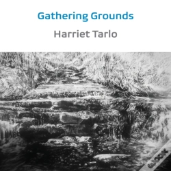 Capa do artigo Gathering Grounds