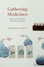 Gathering Medicines - Preview