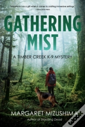Capa do artigo Gathering Mist