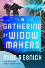 Gathering Of Widowmakers - Preview