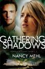 Gathering Shadows (Finding Sanctuary Book #1) - Preview