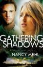 Gathering Shadows - Preview
