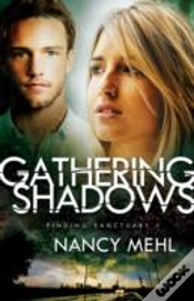 Capa do artigo Gathering Shadows