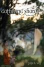Gathering Shards - Preview